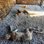 Casa vacanze Olympus Pompei