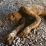 Olympus Casa vacanze Pompei